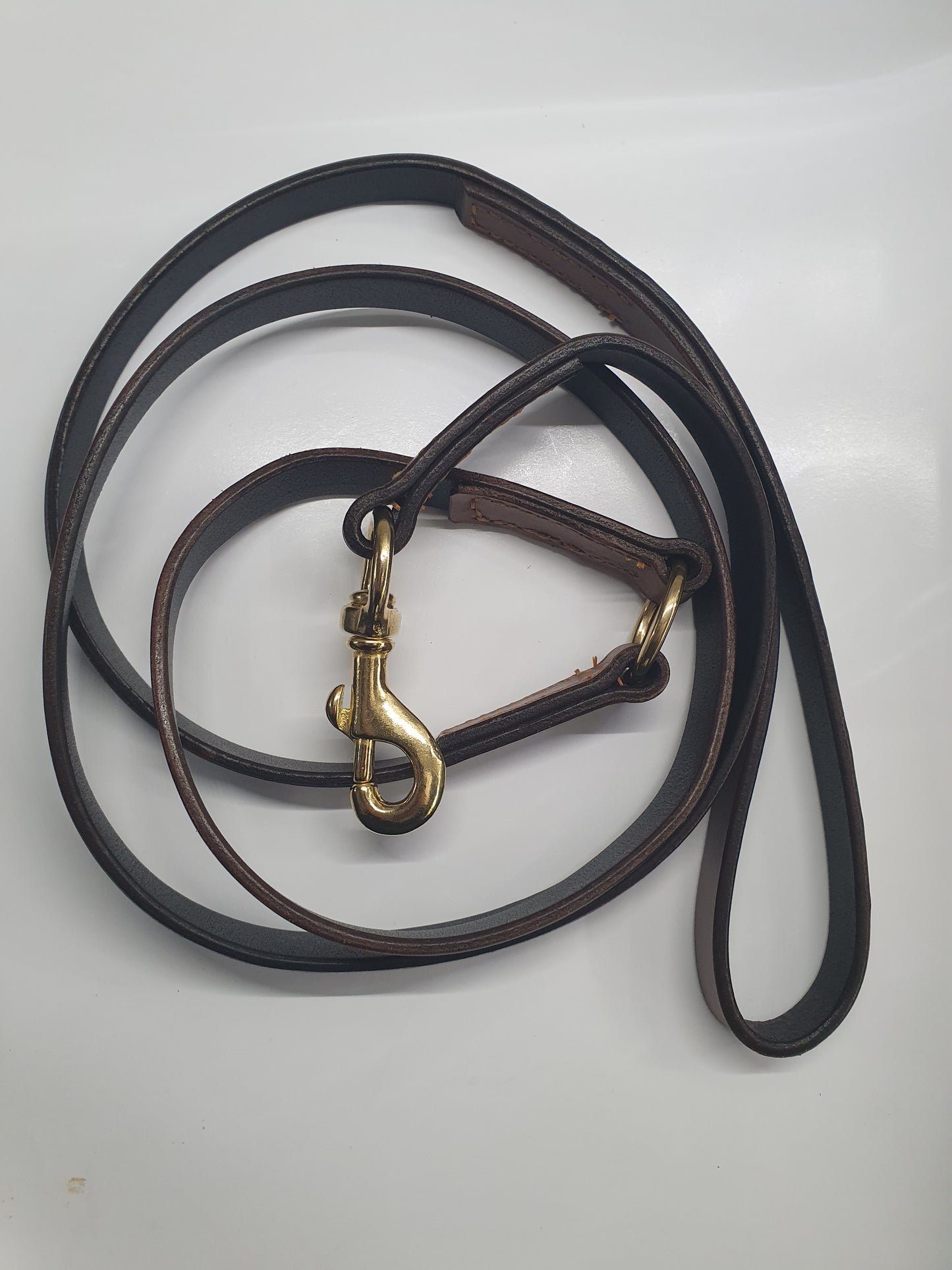 Dog Leads