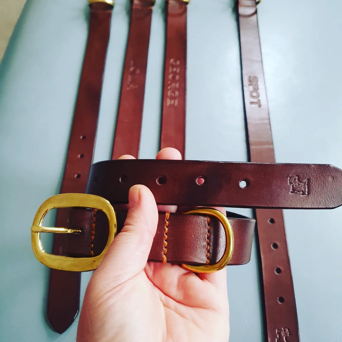 Dog collar