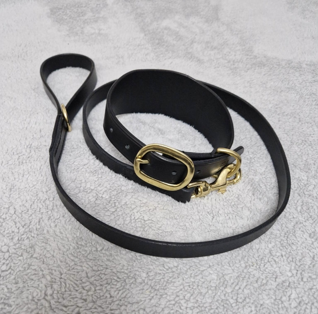 Dog Lead and Collar set